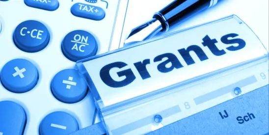 Navigating the Grantmaking Maze