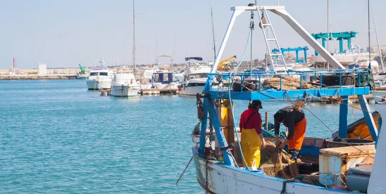 FDA Fish Seafood Regulations Short Weighing