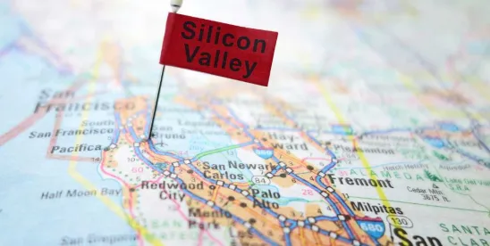 Silicon Valley Challenges