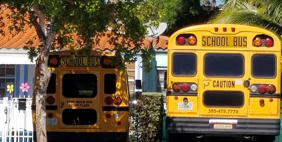 School Bus Safety