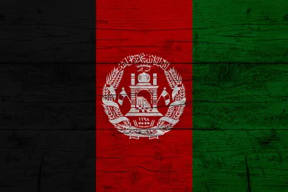 Pentagon Inspector General Reports Security Issues Associated with Afghan Evacuees