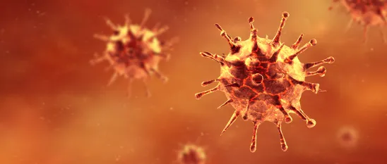 State's COVID-19 Public Health & Business Closure Policies