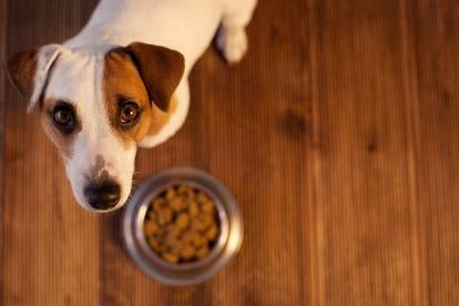dog food, FDA Approves New Source of Omega-6 Fatty Acids for Dog Food