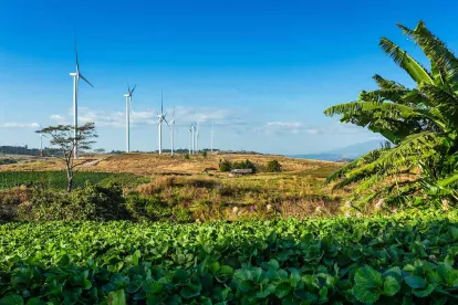 Environmental IP Updates August 2022