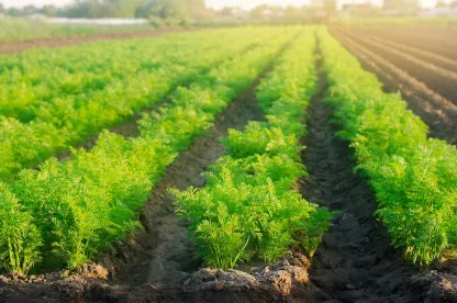 USDA Climate Change Plan