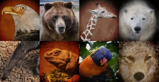 endangered species habitat definition