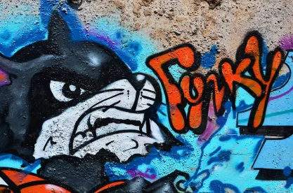 use graffiti art in brand promotion carefully
