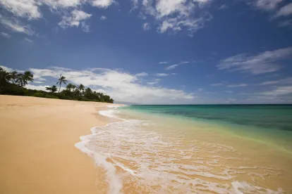 beach shore water ocean