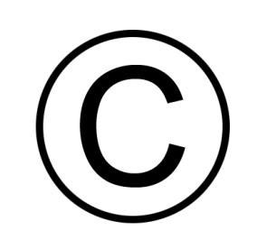copyright, trade secrets, IP protection