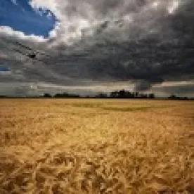 30 Projects Announced to Support Michigan Specialty Crop Growers