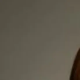 Heidi L. Vogt of von Briesen & Roper