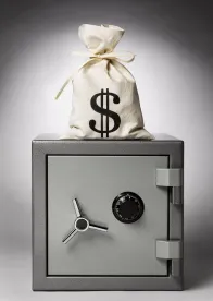Money bag, safe