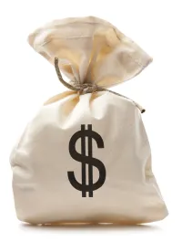 money bag