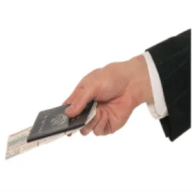 businessman, passport
