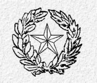 Texas star, insurance