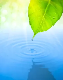 environmental protection, non native species, UK