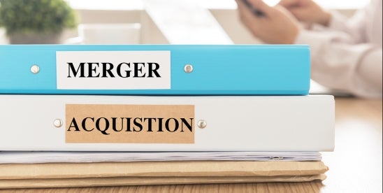 Merger Control in China VIE Structure