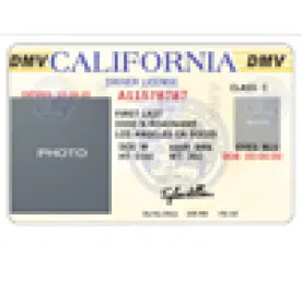 Employment Impact of the Imminent Issuance of Drivers Licenses to Persons Whose 