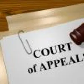 judge posner, appeal, text message, towley 