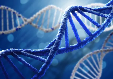 genetic strands