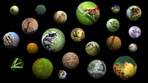 animal waste, maryland, draft, funding, $2 million