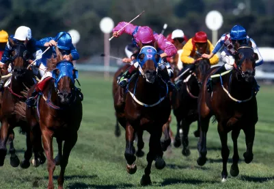 Coronavirus Liability Horse Shows 