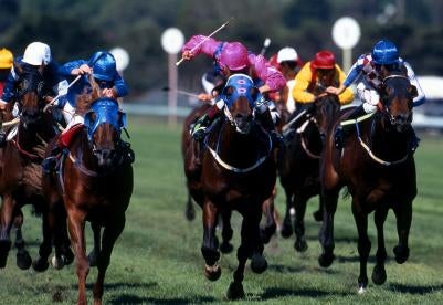 corporate boardrooms are like horse races run on the shareholders'backs
