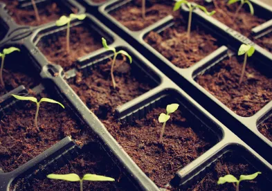 Maine's dept of energy guidelines in determining clealiness of soil, water, and other environmental risks