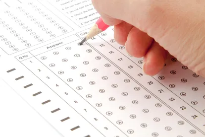 Employee Evaluation, Employer, Performance, Promotion