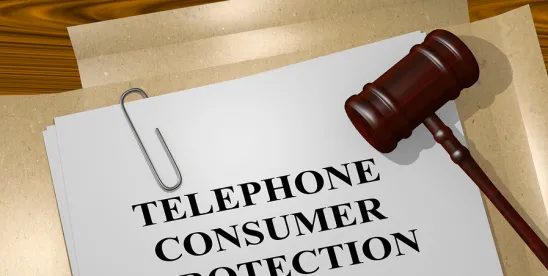 En Banc Review TCPA Salcedo v. Hanna
