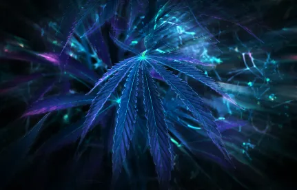 NYC broadens use of medicinal marijuana