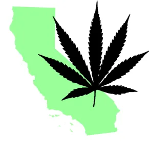 Cannabis, Legal, Online Business Portal, Entrepreneurs, Secretary of State