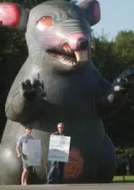 scabby the rat