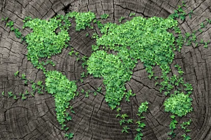 carbon offset program