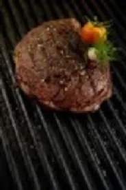 cell cultured meat regulation