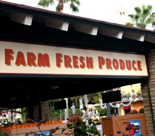 2018 developments in food safety