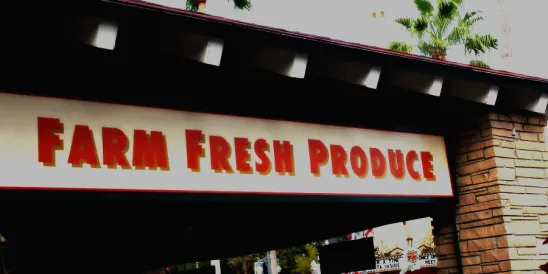 lettuce, leafy greens, e coli, consumer groups, fda