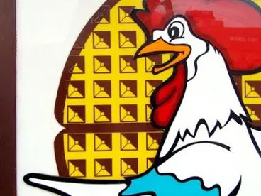 poultry, e coli, salmonella, EFSA report, humans, animals, foods 