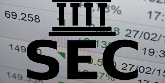 SEC, brochure rule, adviser, "one size fits all", deliver