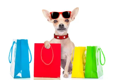 e commerce, Supremacy Clause, South Dakota, Wayfair, sales tax, remit, collect