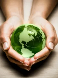 Environmental, Greenberg Traurig, Law firm
