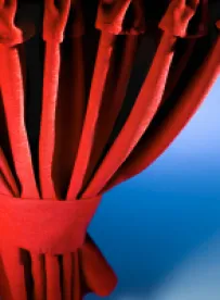 Curtain 
