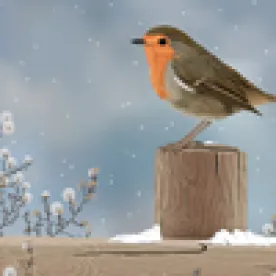 A Permit System May Finally Arrive for the Migratory Bird Treaty Act – New Oppor";