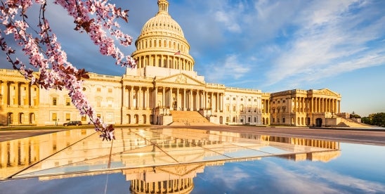 legislation, FOSTA, section 230, sex trafficking act