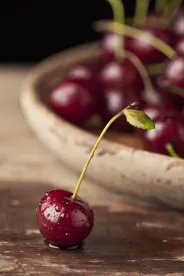 Michigan Tart Cherry Growers Gain Access to Federal Crop Insurance