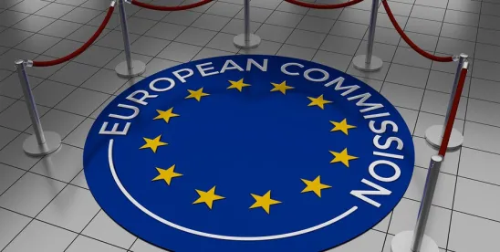 The European Commission Consultation on the Review of the AIFMD