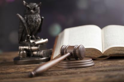 litigation gavel and owl