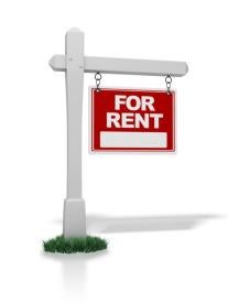 sign, rent, white, red