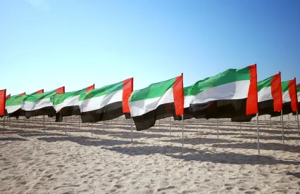 UAE Leads Anti Bribery and Corruption Enforcement