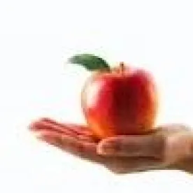China Food Law: Year in Review 2015 Part 1